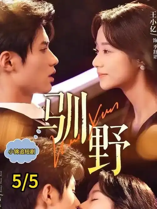 无声证词 小收影视律政剧推荐